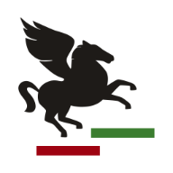 Pegasus Kontroll AS Logo